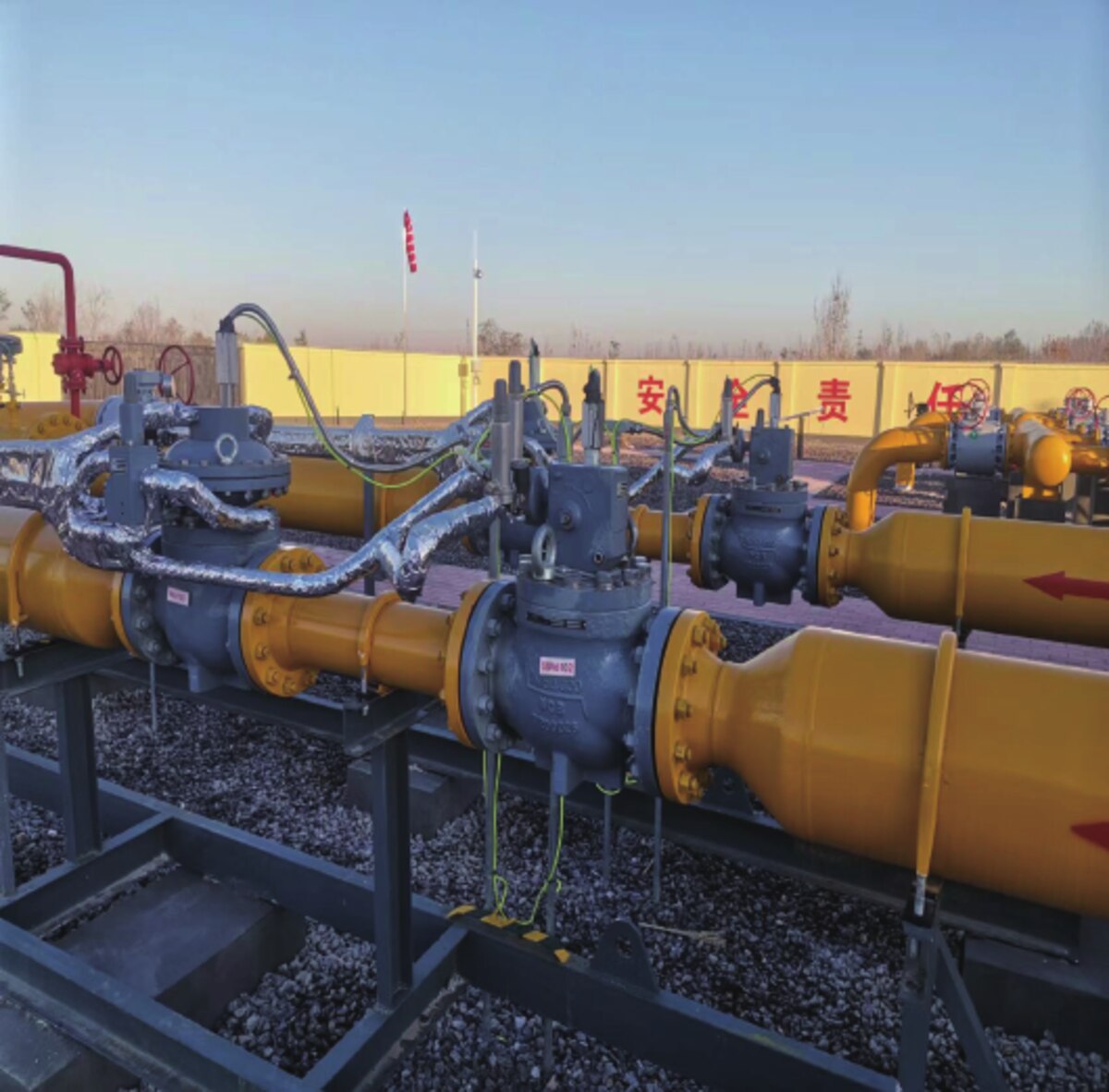 Power Plant Fuel Gas Supply